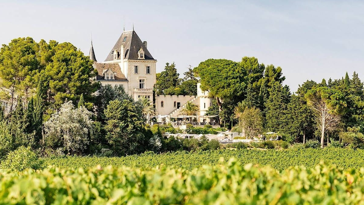 Paysage d'un domaine viticole en France pour réception de prestige